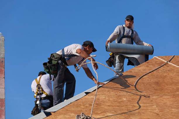 Best Roof Gutter Cleaning  in Milledgeville, GA